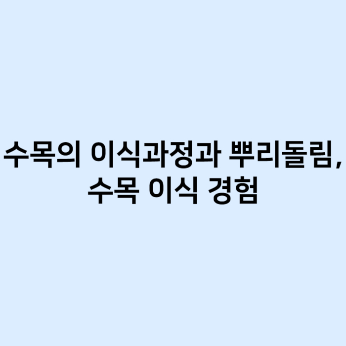 수목의 이식 과정과 뿌리돌림, 수목 이식 경험 썸네일